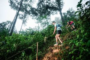 BIB: 
                            <button type="button" onclick="openModal(26202752)" class="btn btn-primary btn-sm float-right btn-popup" data-toggle="modal" data-target=".modal-high-quality">
                        <i class="fas fa-shopping-cart"></i> Add to Cart
                    </button>
                                            <button type="button" onclick="isThisMe(26202752, true)" class="btn btn-success btn-sm float-right btn-popup btn-isme hidden" data-toggle="tooltip" data-placement="bottom" title="นี่คือรูปของคุณใช่ไหม คลิกที่นี่เพื่อเอาเข้าอัลบั้ม">
                        <i class="fas fa-plus"></i> Add to album
                    </button>
                    <button type="button" onclick="isThisMe(26202752, false)" class="btn btn-warning btn-sm float-right btn-popup btn-isnotme hidden">
                        <i class="fas fa-ban"></i> Remove from album
                    </button>